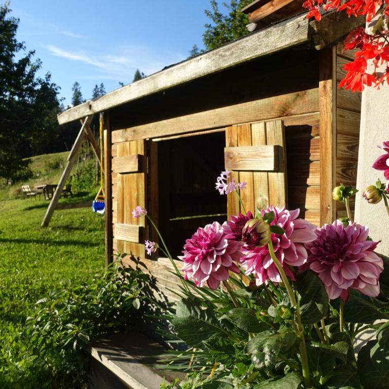 Ferienwohnung Boarbichlhof - Appartamento con 2 Camere da Letto e con Vista Montagna - 17