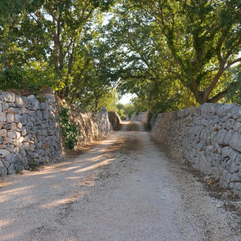 Il nido delle rondini - Casa Vacanze - 52