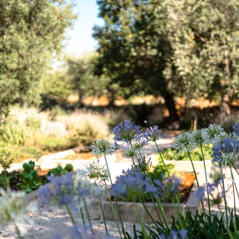 Trulli Ad Maiora - Villa Deluxe - 44