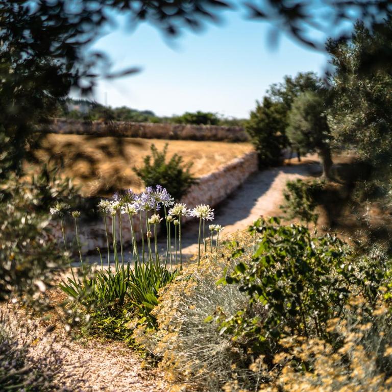 Trulli Ad Maiora - Villa Deluxe - 60