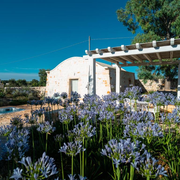 Trulli Ad Maiora - Villa con 1 Camera da Letto - 22
