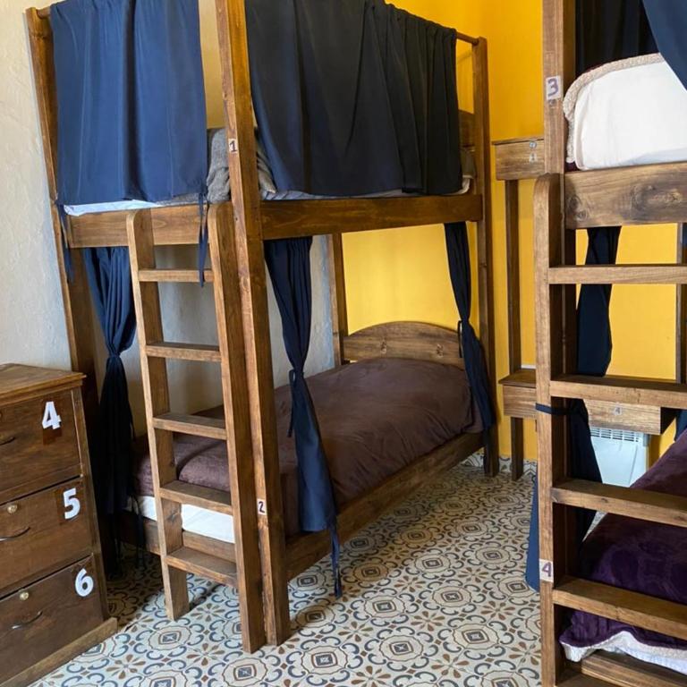 Casa Tequio - Bed in 6-Bed Female Dormitory Room - 4