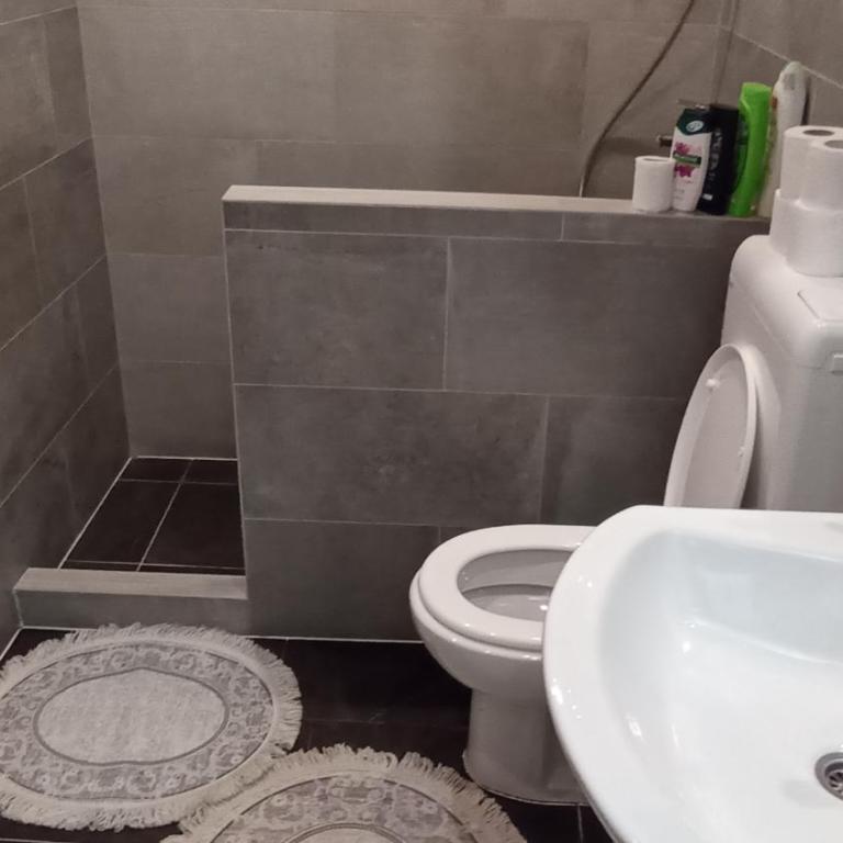 Elita Prenoćište - Two-Bedroom Apartment - 8