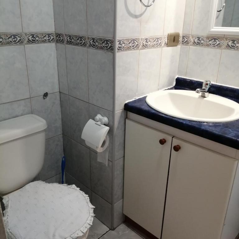 Departamento en Pucón - One-Bedroom Apartment - 8