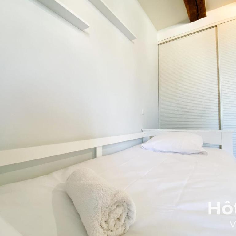 T3 Duplex charme de l'ancien - coeur de ville - Appartement - 26