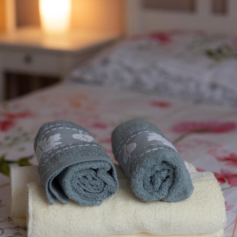 LOC TROTTEUR LE PIVOINE Studio Grand confort, Gare SNCF de Lourdes - Apartamento de 1 dormitorio - 14