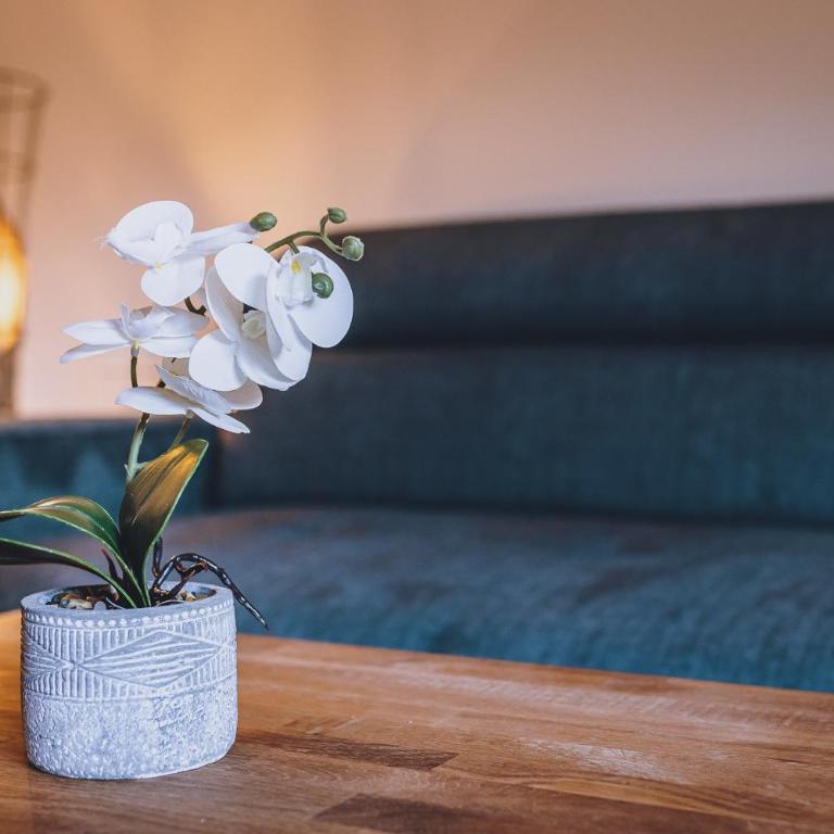 Premium Apartments Areit by we rent, SUMMERCARD INCLUDED - Penthouse-Apartment - 17