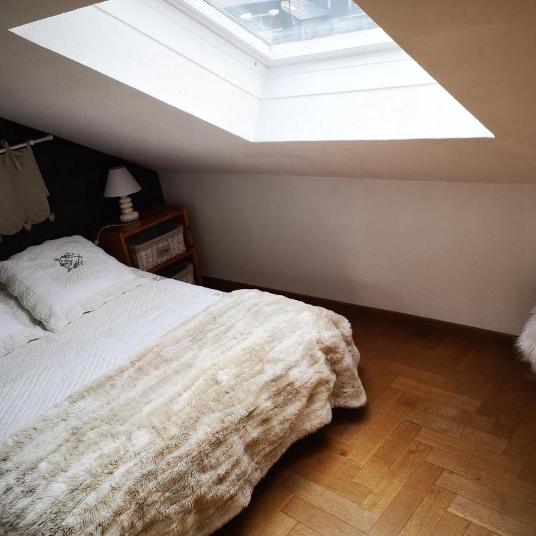Apt confortable au pied des pistes et de la forêt - Appartement 1 Chambre - 22