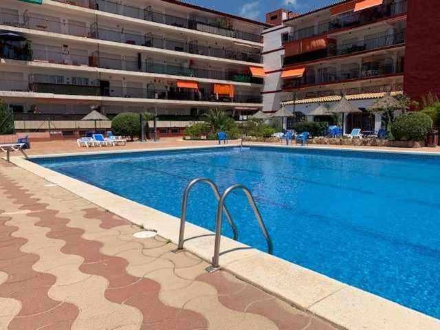 Pau Picasso – Estudio con Piscina y Terraza - Estudio con terraza - 5