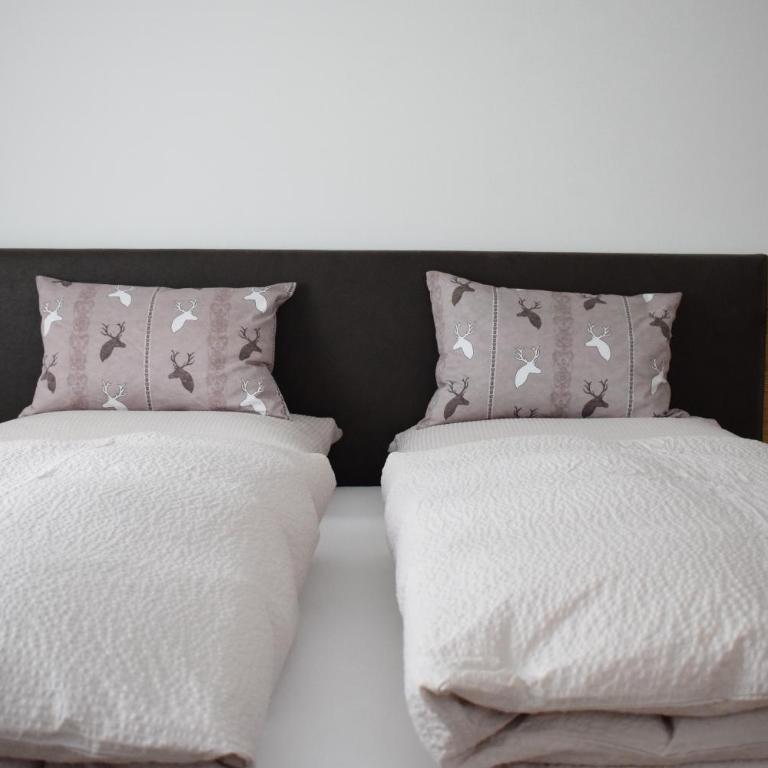 Pension Hofer - Appartamento con 3 Camere da Letto - 16