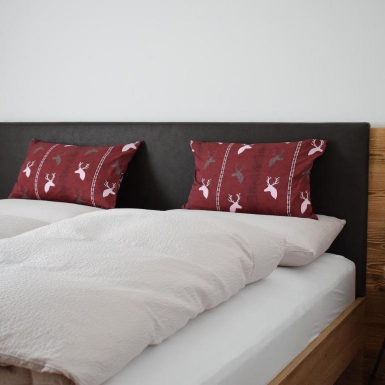 Pension Hofer - Appartamento con 3 Camere da Letto - 7