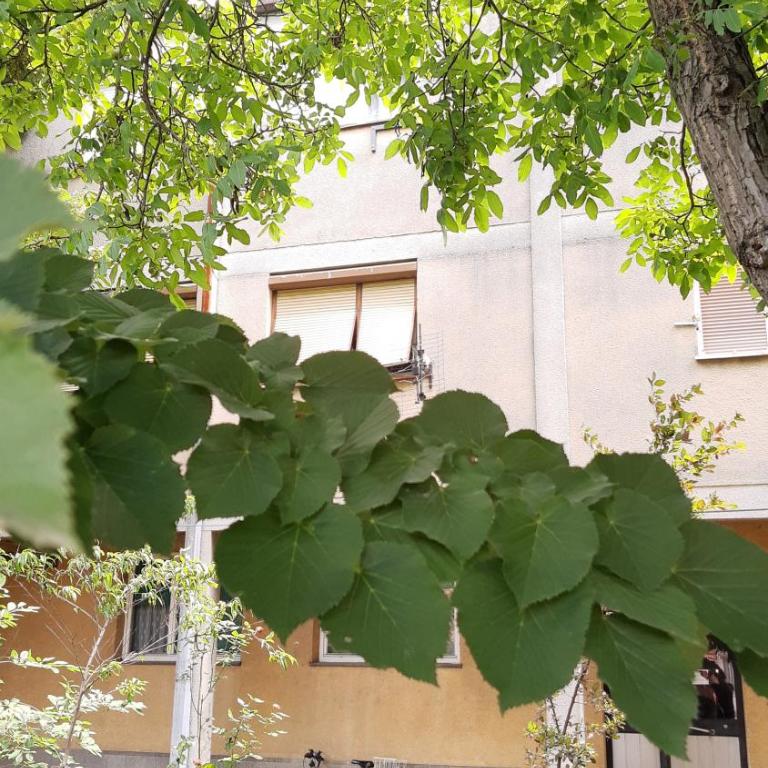 Anka - Apartman sa 1 Spavaćom Sobom - 5