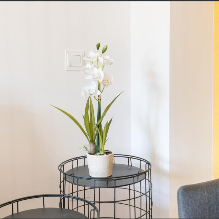 Merced10 3K - Apartamento con ducha - 20