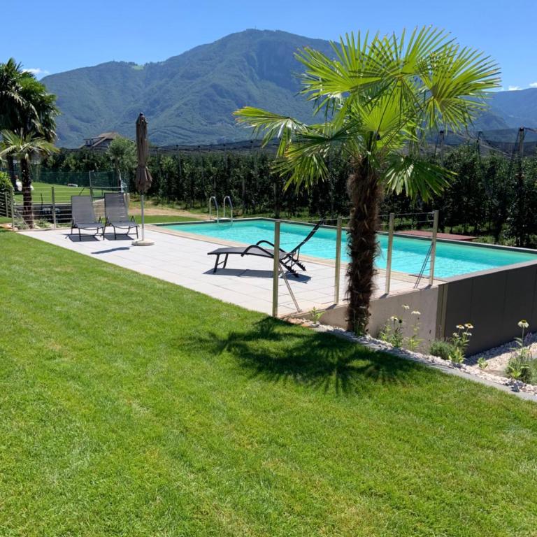 Apartments Klotz - Appartamento - Piano Terra - 12