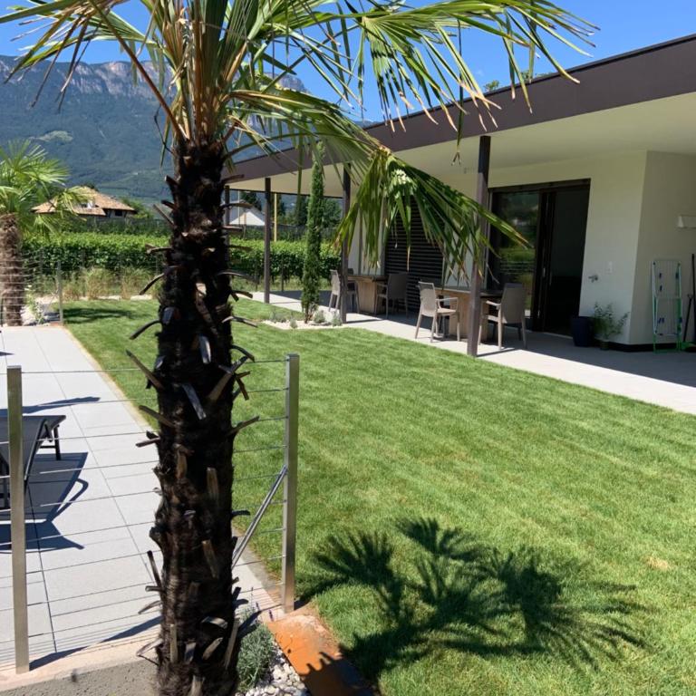 Apartments Klotz - Appartamento - Piano Terra - 14