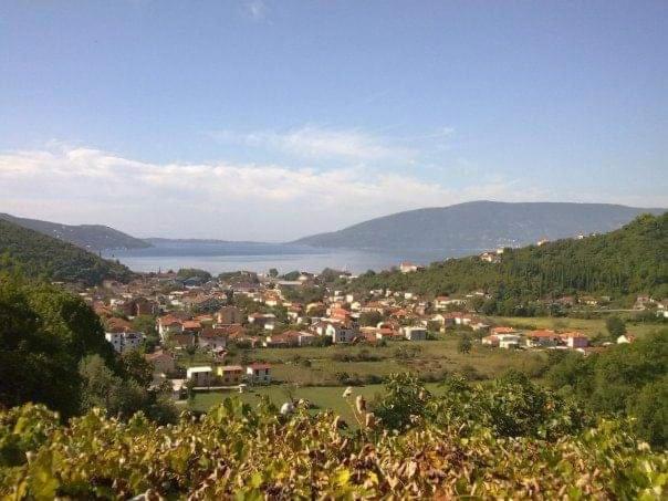 Apartment Jelaca - Apartman sa 2 Spavaće Sobe - 12