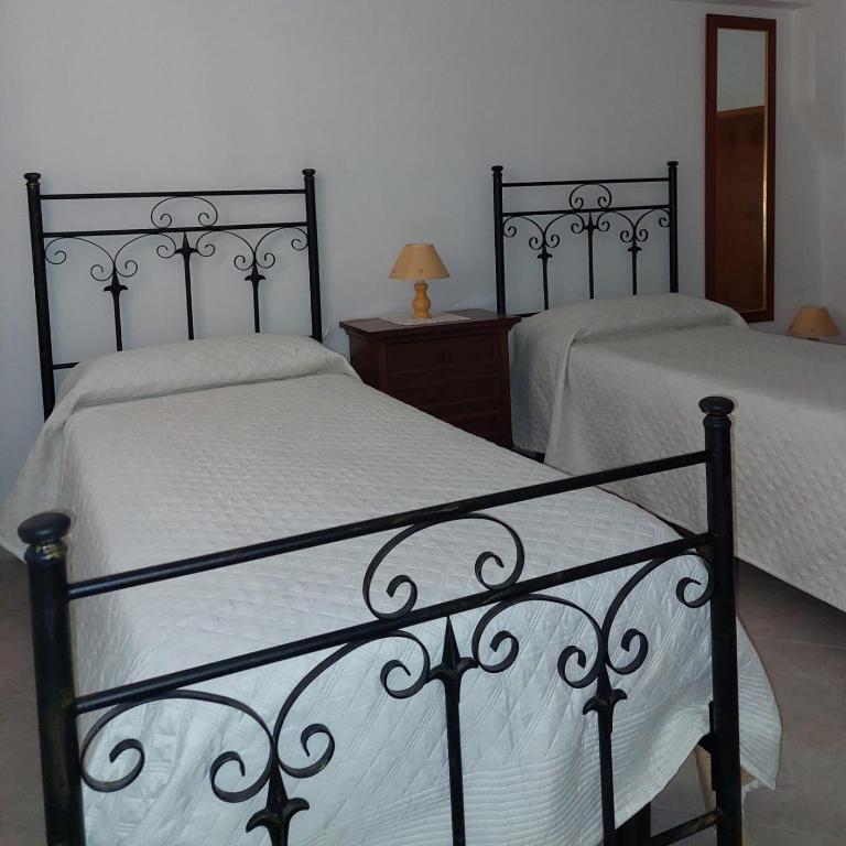 Rental House in Cisternino - Appartamento - 40