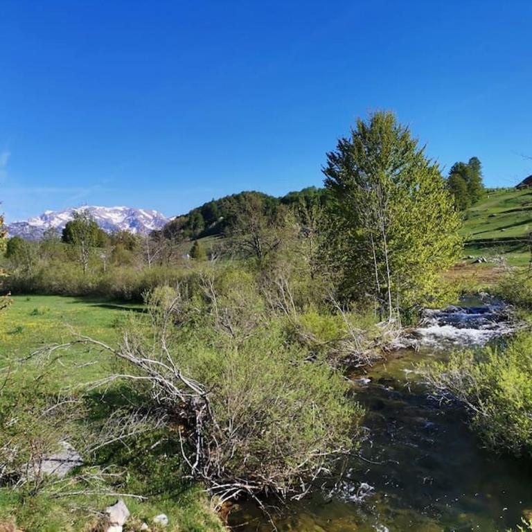 Dream view house - Two-Bedroom House - 41