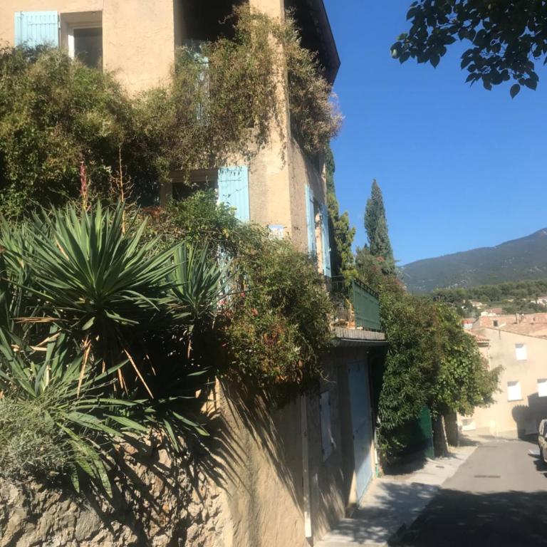 Au petit bonheur - Maison 2 Chambres - 13