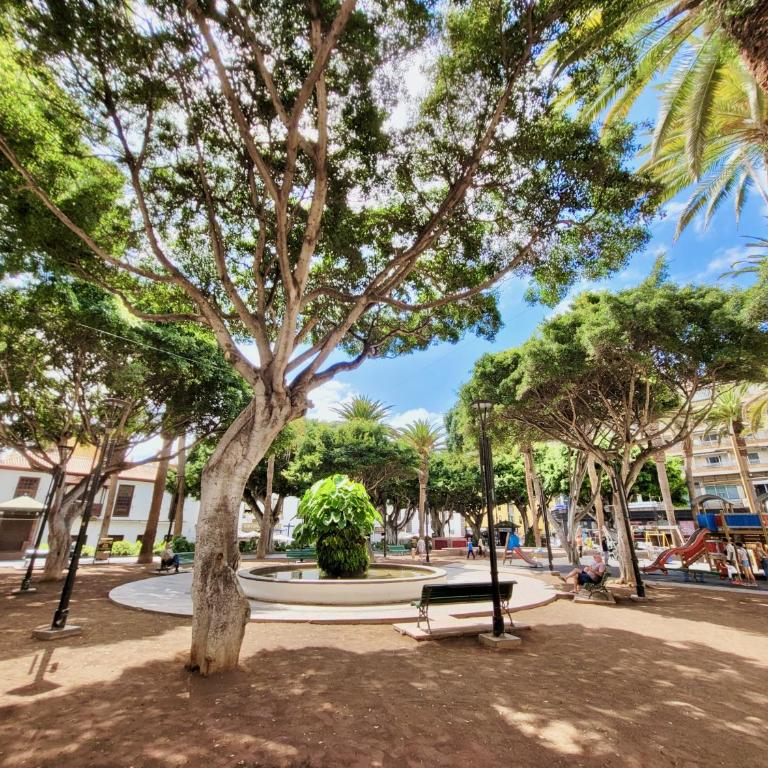 Central Plaza - Apartamento de 1 dormitorio - 36
