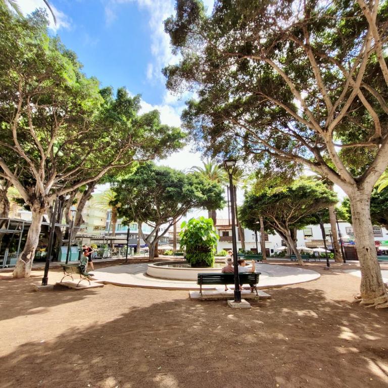 Central Plaza - Apartamento de 1 dormitorio - 37