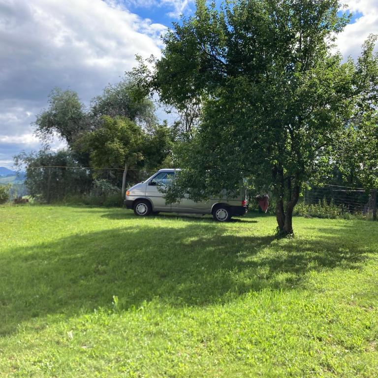Camping f Selbstversorger Gut Jägerhof adults only - Stellplatz - 1