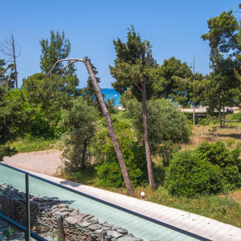 Zia Apartments - Two-Bedroom Apartment - 4