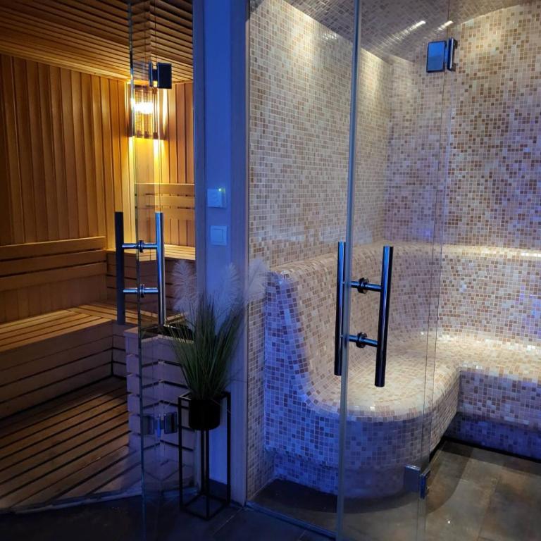 Lux&Spa Sunčani vidik Zlatibor - Apartman sa 1 Spavaćom Sobom - 5