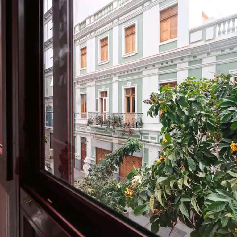 Apartamento Las Palmas - Apartamento de 1 dormitorio - 11