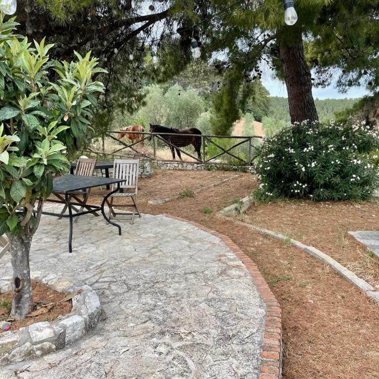 Novecento Country House - Appartamento con 1 Camera da Letto - 5