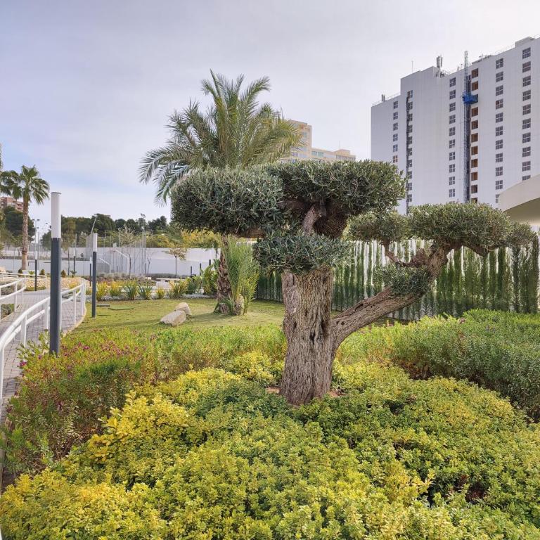 SUNSET WAVES apARTs by RB - Apartamento con vistas al mar - 51