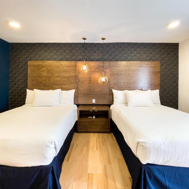 Hotel Gran Plaza & Convention Center - Deluxe Double Room - 3