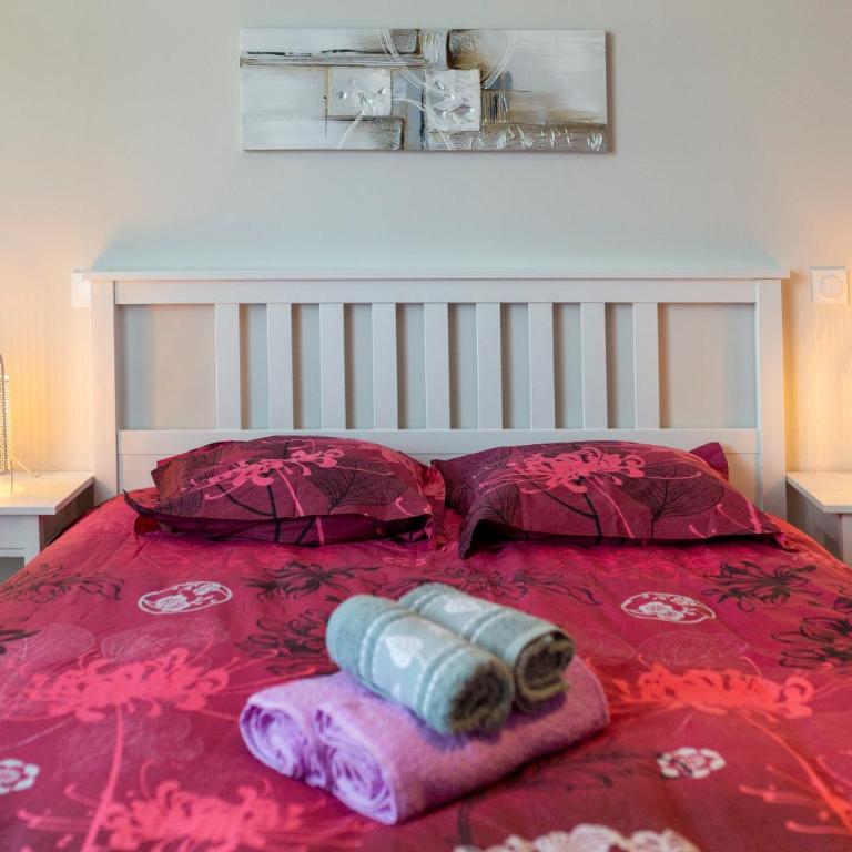 LOC TROTTEUR LE CACAO - Balnéo, Gare Lourdes - Apartment mit 2 Schlafzimmern - 13