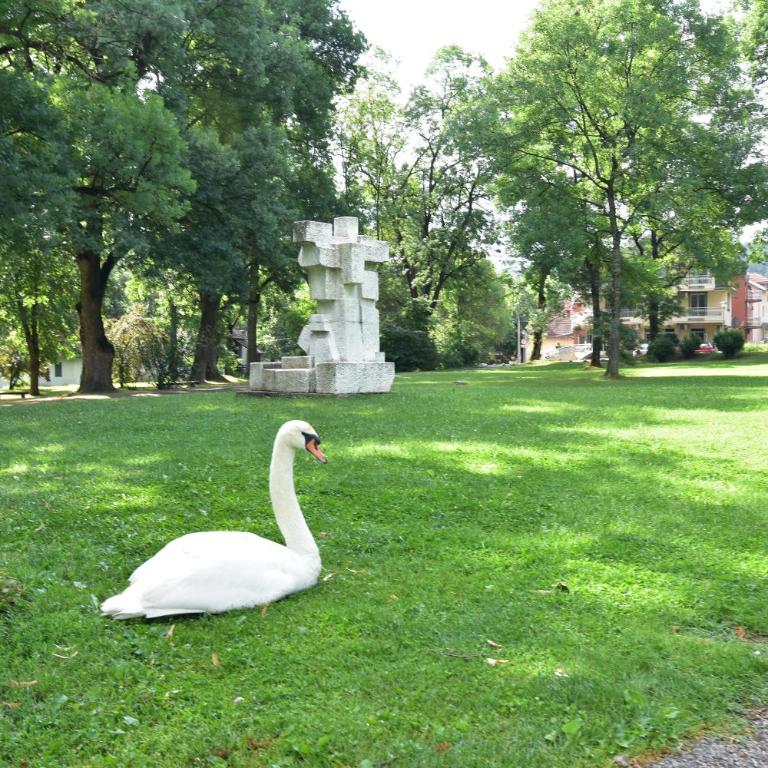 Apartman Point - Apartman sa 1 Spavaćom Sobom - 66