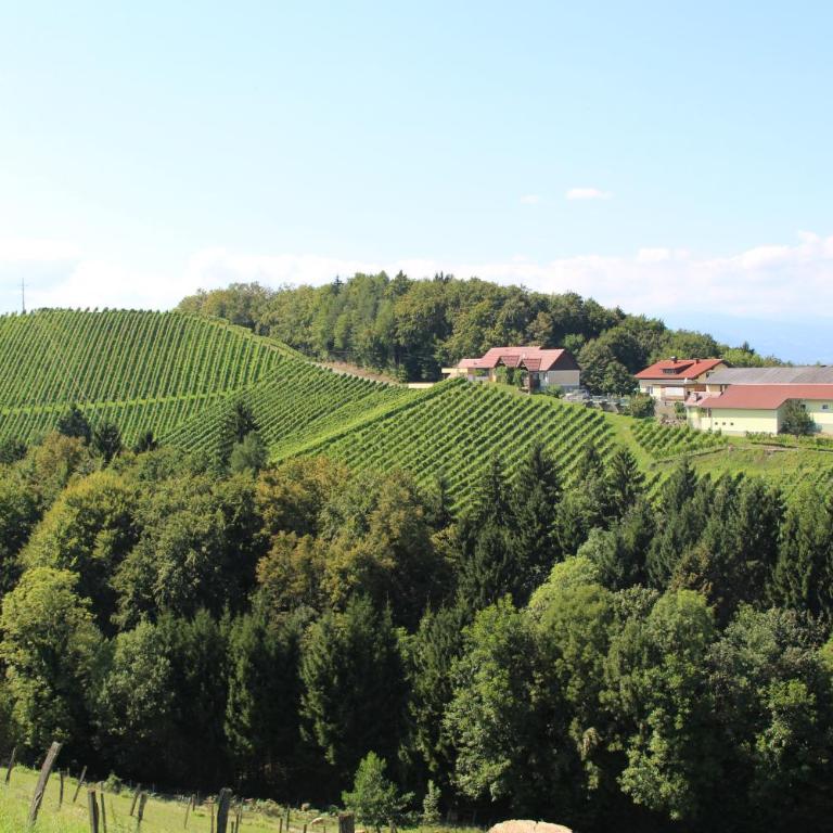 Weingut Sternat vlg. Schmalzpeter - Ferienhaus - 24