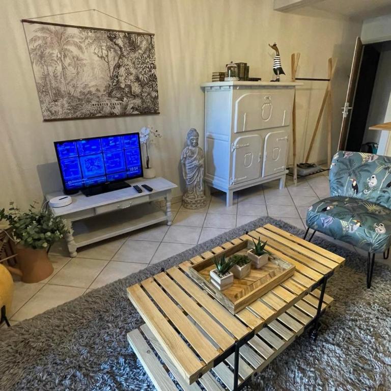 Le Patio, coeur de ville avec garage et jardin - Appartement 1 Chambre - 21