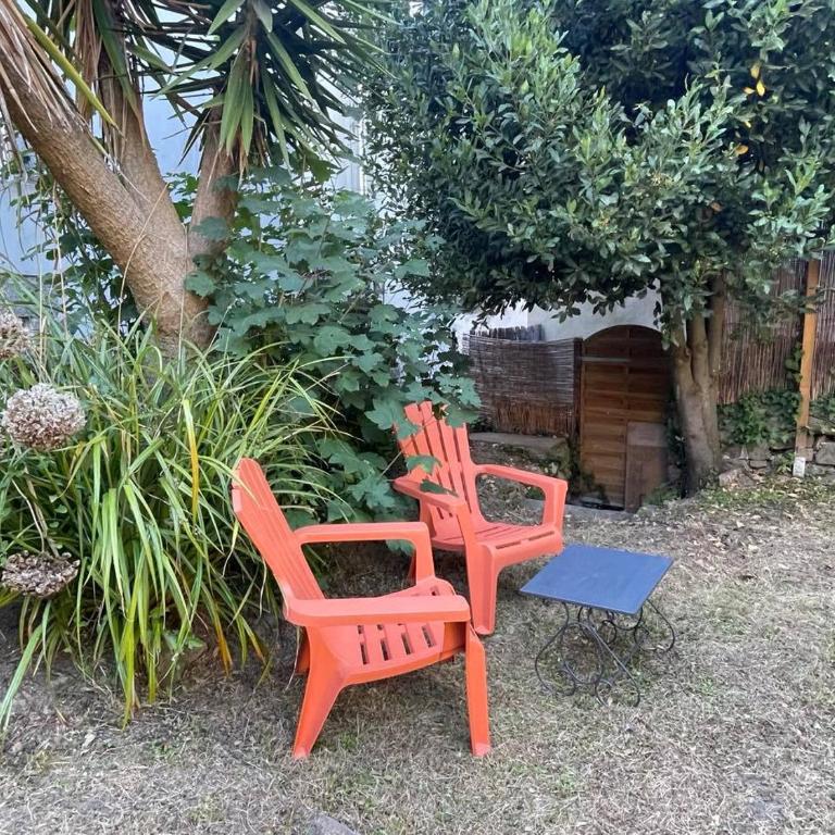 Le Patio, coeur de ville avec garage et jardin - Appartement 1 Chambre - 17