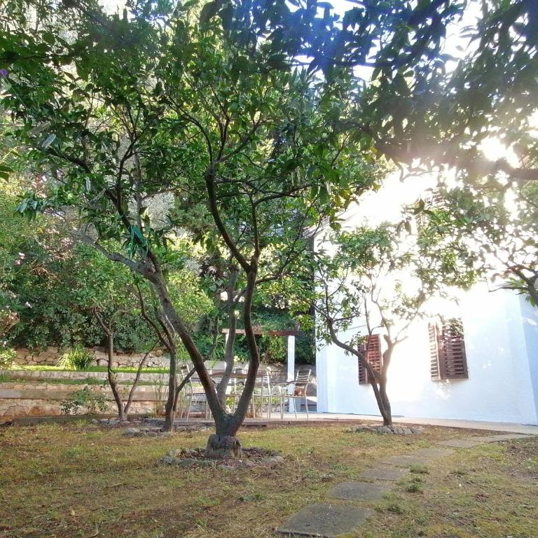 guest house BULJARICA - Three-Bedroom House - 42