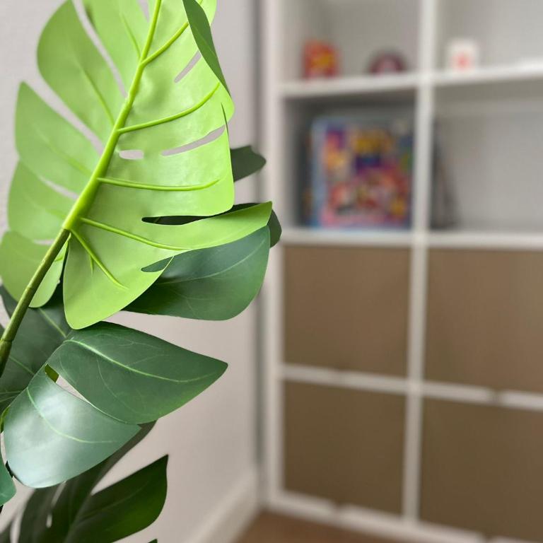 Estupendo apartamento en Estación-Centro, WIFI, Agua por Osmosis - Apartamento de 3 dormitorios - 8