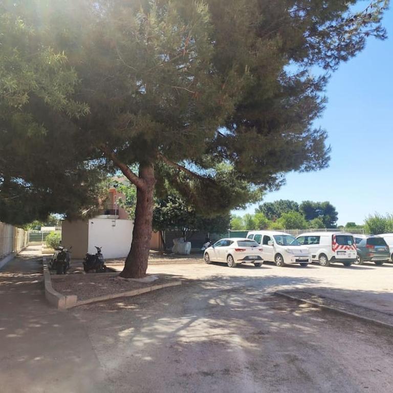 Harmonie du sud - Appartamento con 2 Camere da Letto - 26