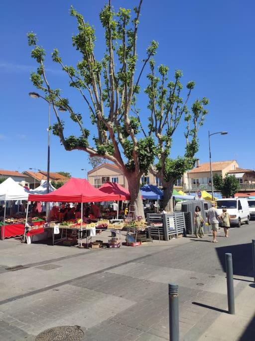 Harmonie du sud - Appartamento con 2 Camere da Letto - 22