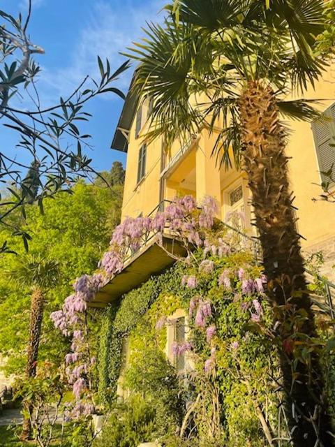 Villa Gina - Appartamento con 3 Camere da Letto - 1