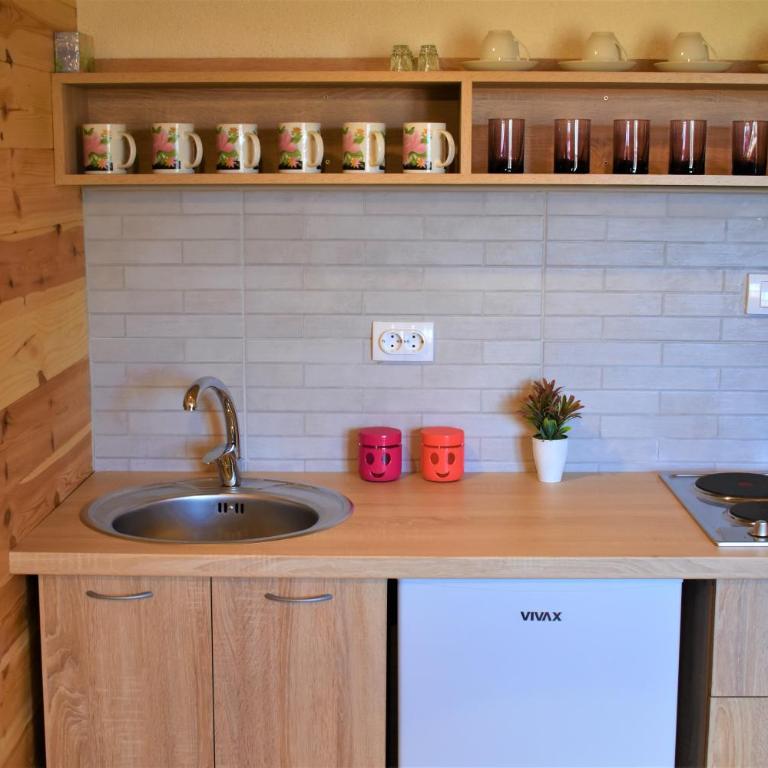 Durmitor view - One-Bedroom Bungalow - 5