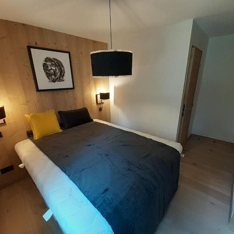 Superbe appartement T3 4 étoiles terrasse accès spa - Appartement 2 Chambres - 7