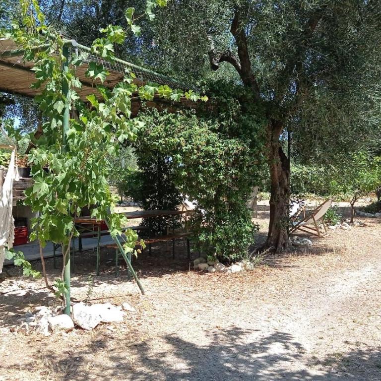 Casa a Piano Piccolo - Appartamento con 1 Camera da Letto - 10