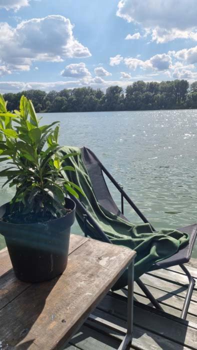 Splav na dan Waterhouse - Kuća sa 1 Spavaćom Sobom - 30