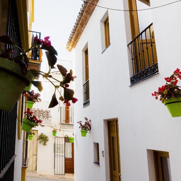 Calle Pintado 21 Atico - Apartamento - 35
