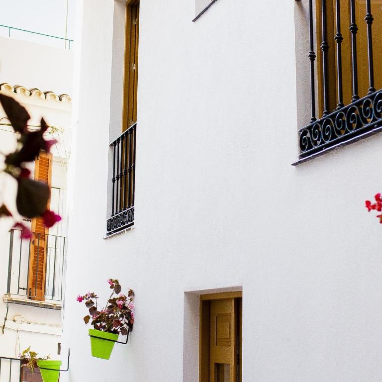 Calle Pintado 21 Bajo - Apartamento - 24