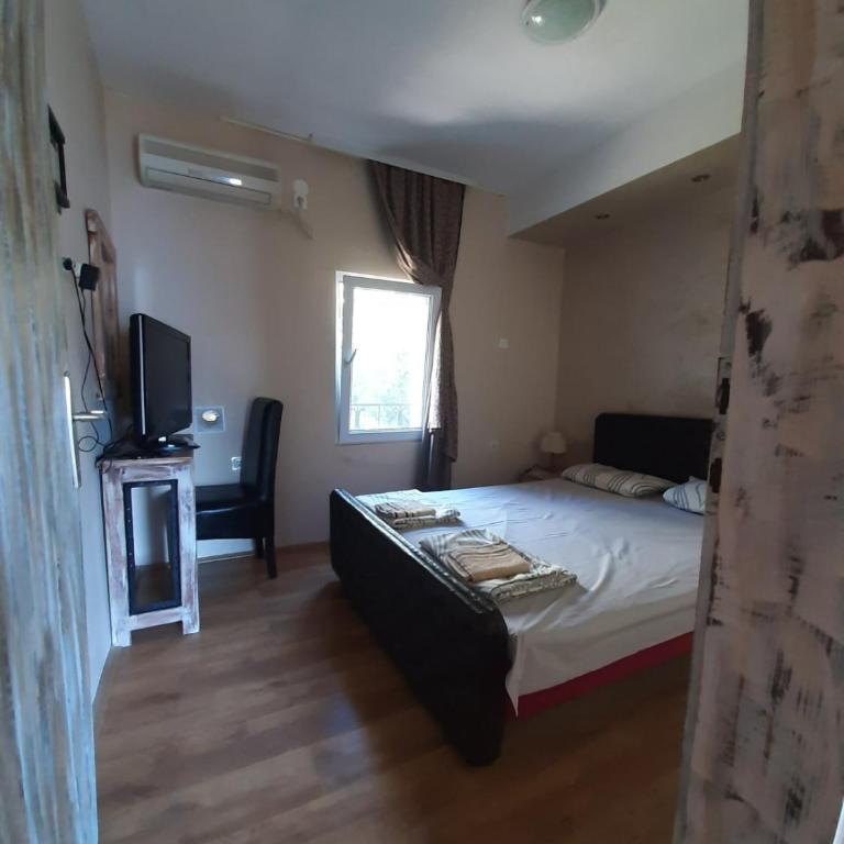 Casa de Laza Apartments - Standard Apartment - 4