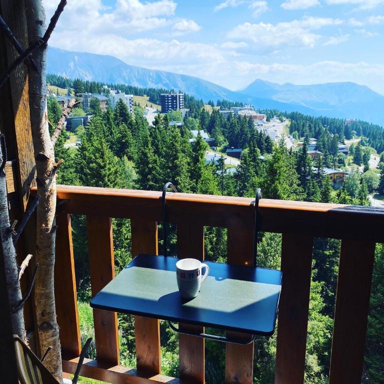 Les Balcons d'Edelweiss - Appartement 1 Chambre - 10